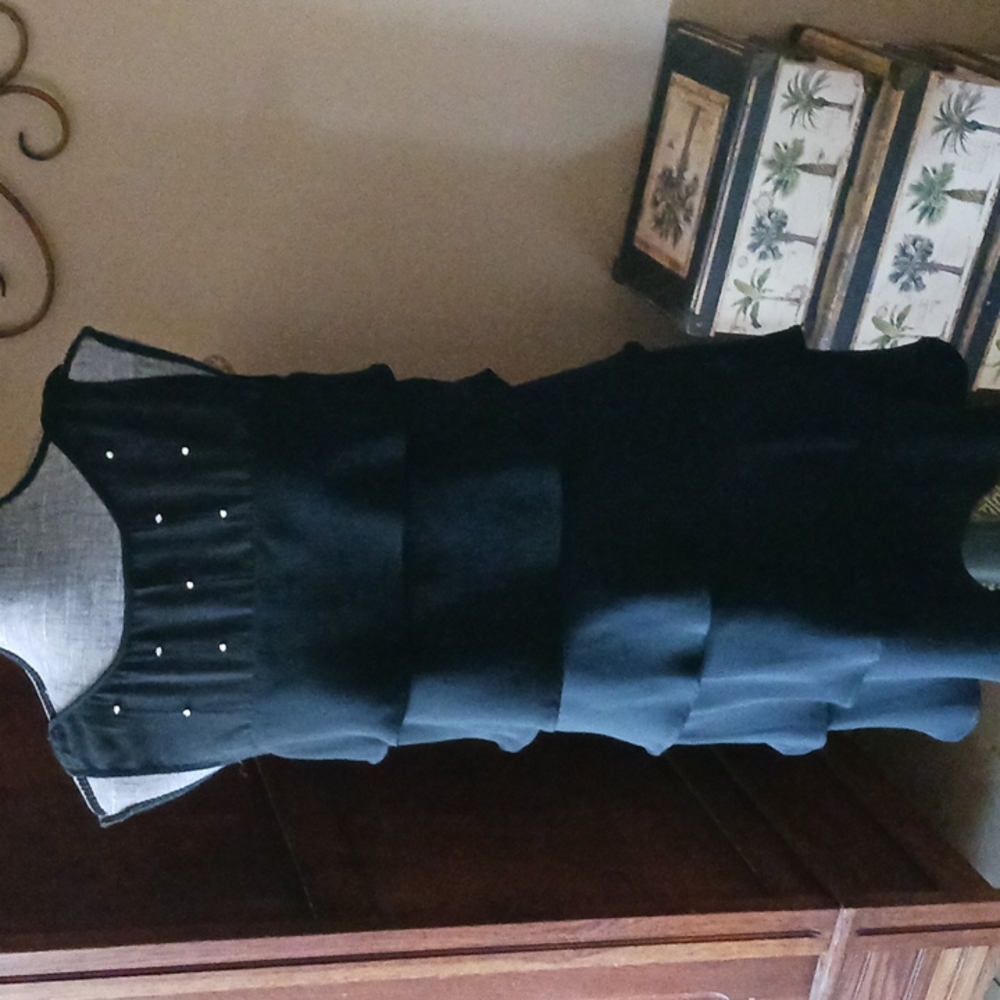 Evan Picone Dress